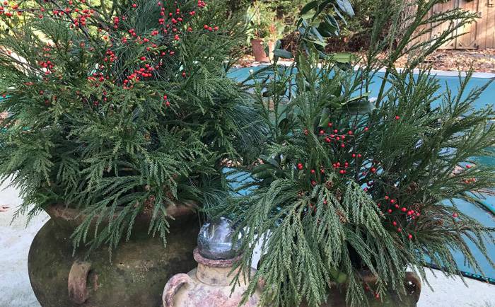 Planting with Christmas in Mind
